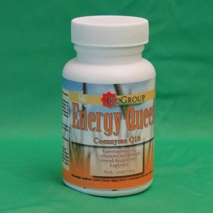 ENERGY Koenzim Q-10  90X-BioGroup-