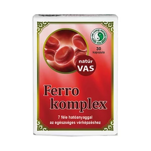 Ferro komplex kapszula-Chen patika-