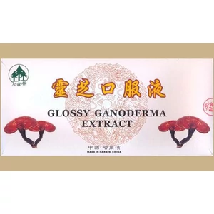 Ganoderma ampulla -Big Star-
