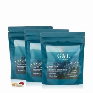 Multivitamin – 90 adagos utántöltő -GAL-