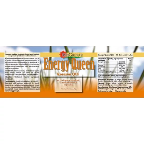 ENERGY Koenzim Q-10  90X-BioGroup-