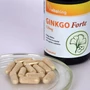 Ginkgo Biloba 120mg -Vitaking-