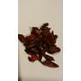 Kép 2/2 - Csipkebogyó hús 100 gr. -Herbária-